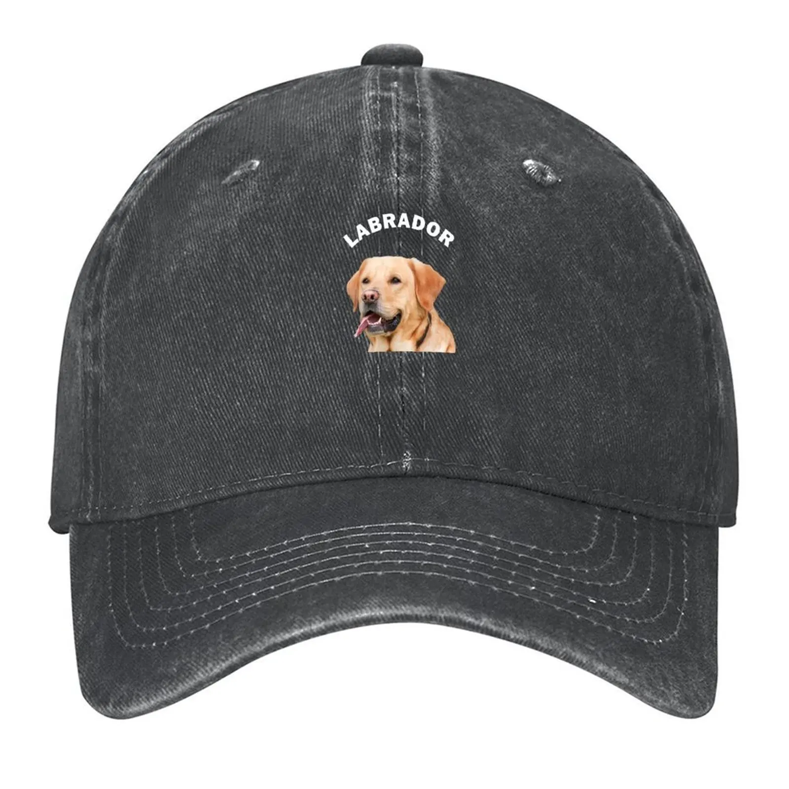 

Labrador Baseball Cap Luxury Man Hat hard hat winter hats for men Anime Luxury Woman Men's