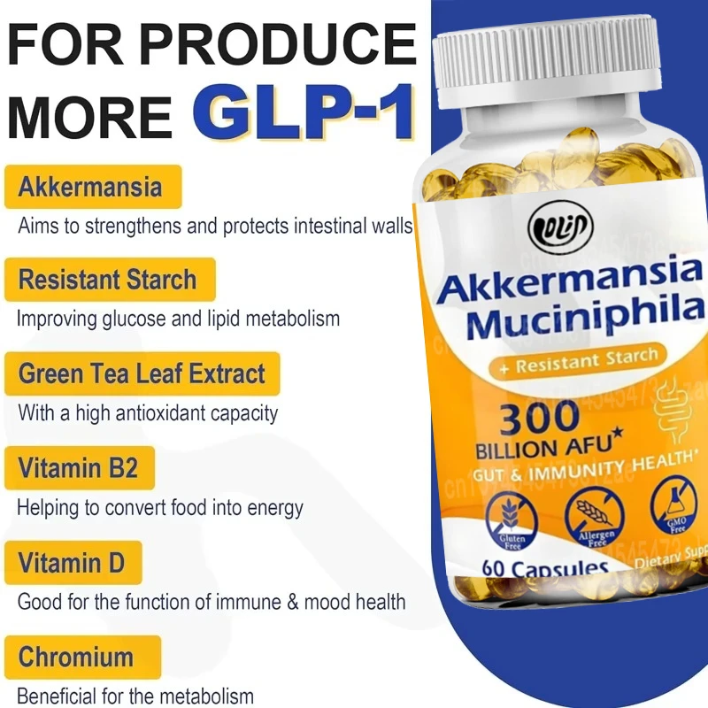 Probiotik GLP-1 |   300 Miliar AFU Akkermansia, Cocok untuk Produksi GLP-1, Pencernaan, Usus, Imunitas, 60 Kapsul