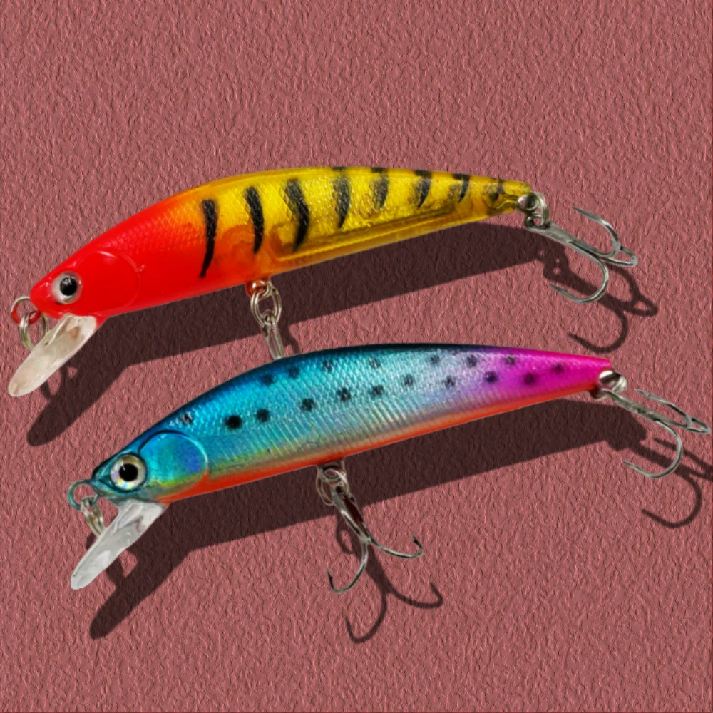 2026 Sinking Minnow… - image