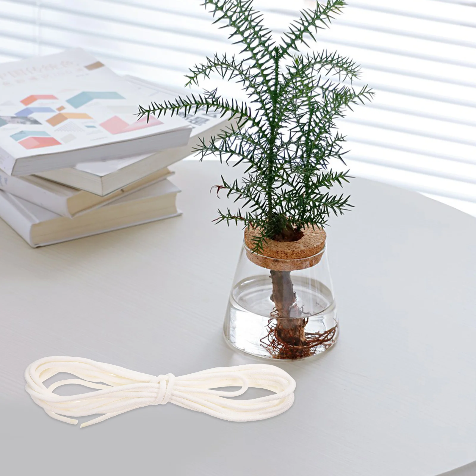 Cuerda de algodón de riego automático, cordón absorbente hidropónico, autorriego para plantas en macetas, suministros de riego de jardín