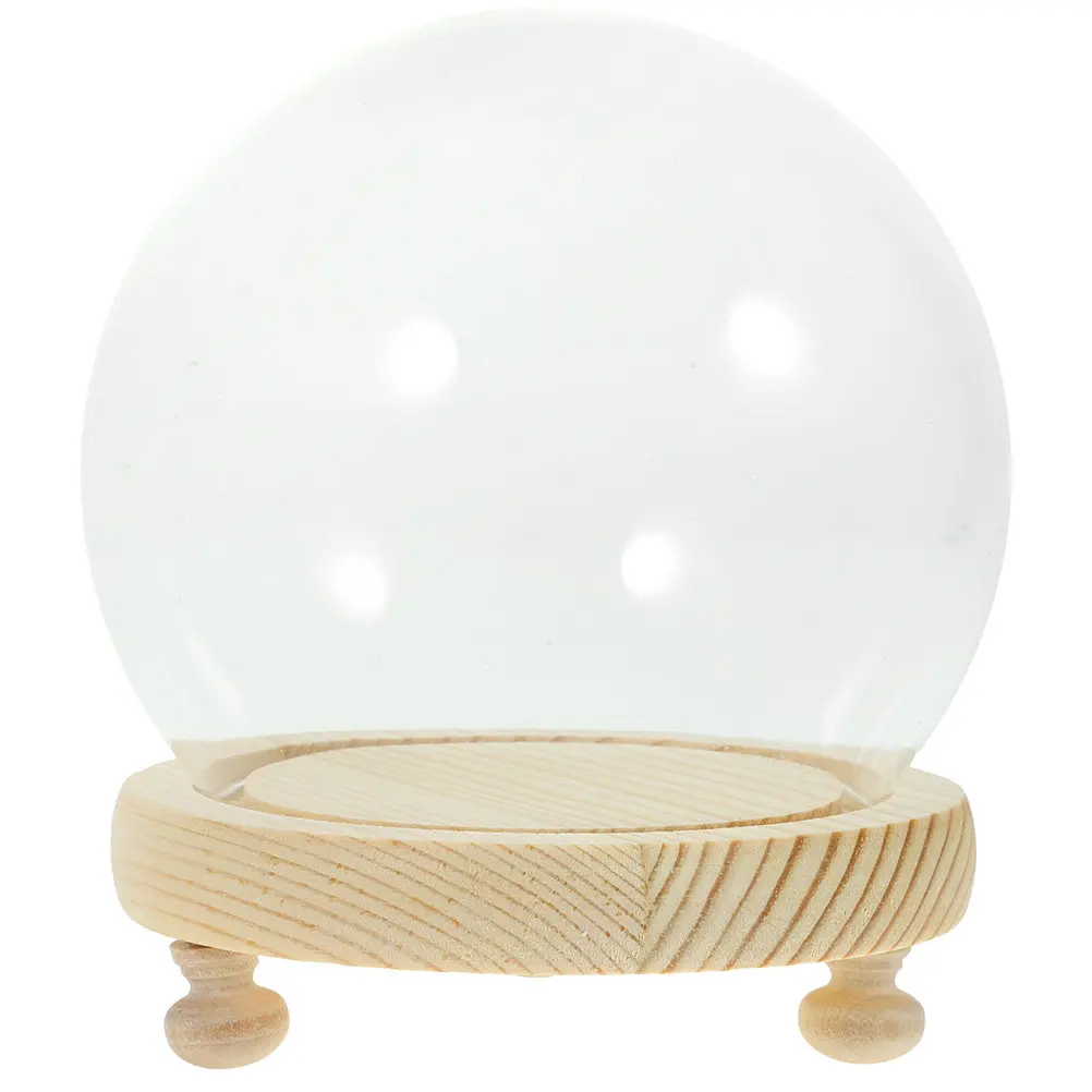 Small Glass Display Case with Wooden Base Clear Glass Dome for Desktop Decoration Micro-Landscape Holder Rose Globe Chic