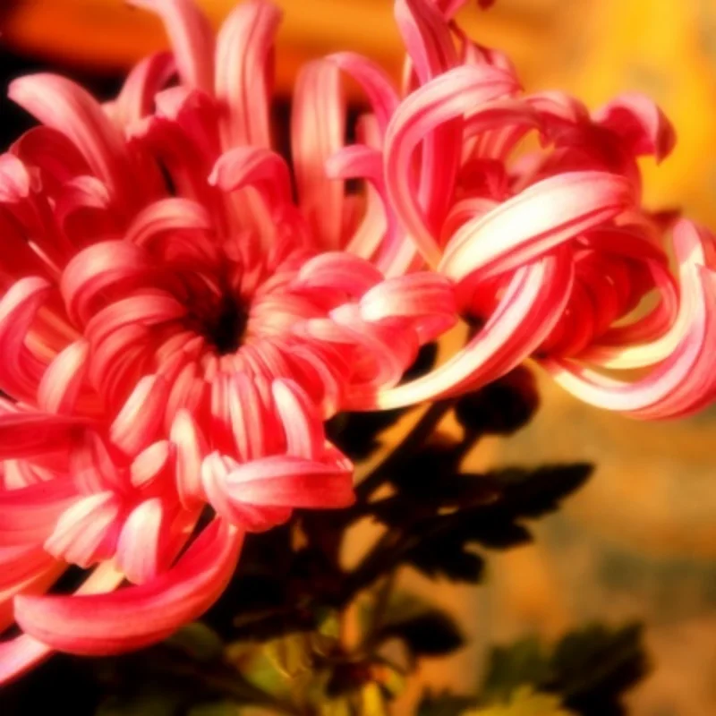 

Металлическая дифференциальная стальная шестерня 5381 6882 5379 для Trxs Slash 4x4 VXL Stampede Rustler Remo HQ727 1/10, детали для обновления радиоуправляемого автомобиля