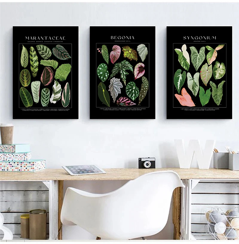Modern Classic Plant Art Tortoise Back Bamboo Tropical Plant Identification Poster Canvas Paintings Wall Art Pictures Home Decor