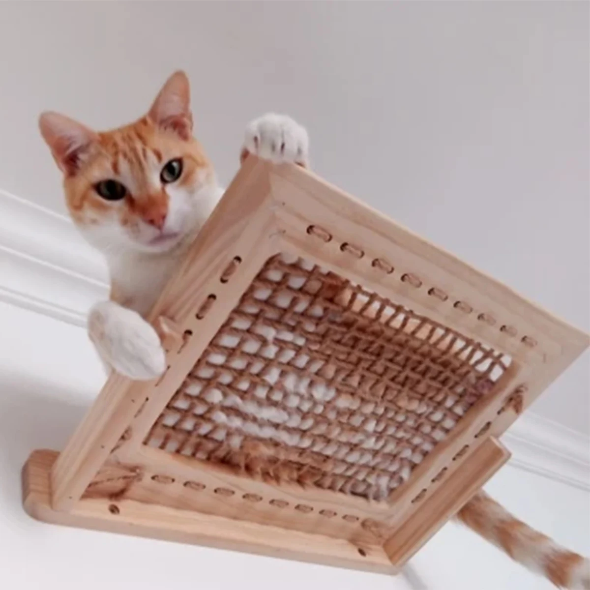 Étagères d'escalade pour chat, tour d'arbre à chat, hamac en bois, plateforme de saut, échelles pour dormir et jouer, meubles pour chats