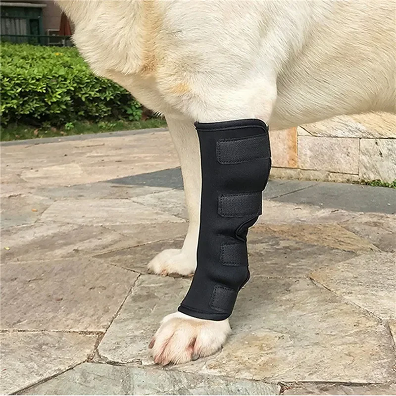 1Pair Pet Knee Pads Support Brace for Leg Hock Joint Wrap Injury Recover Legs Dog Protector Protects Bandage