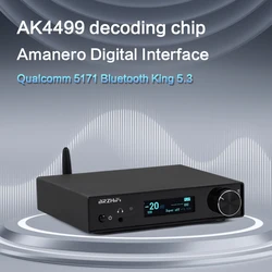 BRZHIFI AUDIO SU10 HIEND level AK4499 DAC audio decoder BT 5.3 DSD512 home amplifier