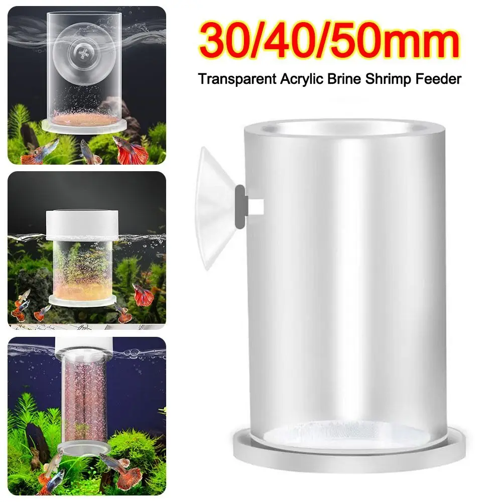 Acrylic Brine Shrimp Feeder Fixed-Point Transparent Fish Feeder with Suction Cup Durable Fish Tank Feeding Cup