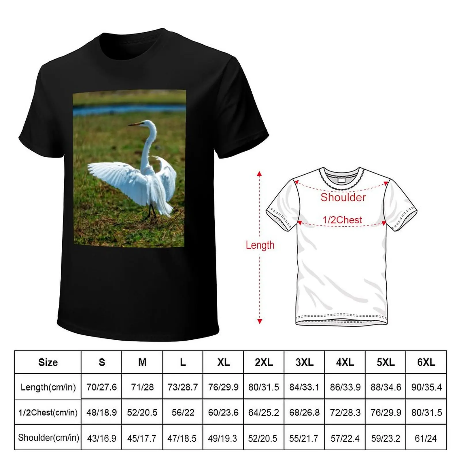 The Conductor T-Shirt t shirt man cotton T-Shirt