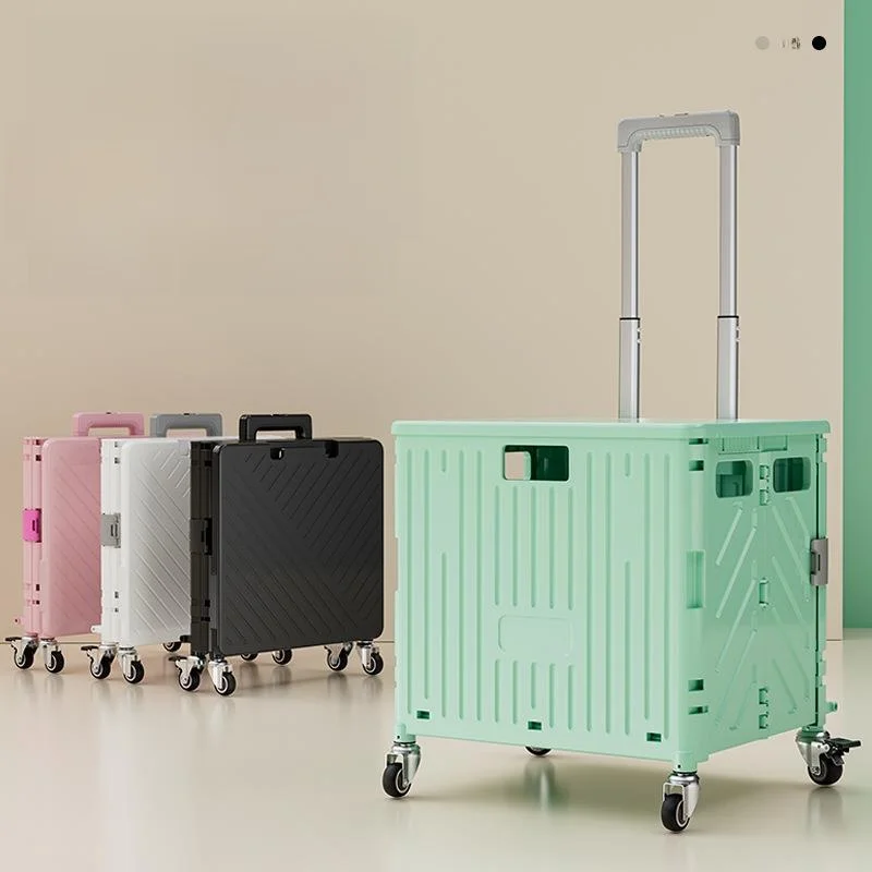 carrello-portatile-a-spinta-manuale-per-la-spesa-carrello-saliscale-per-verdure-carrello-domestico-comodo-per-la-spinta-a-mano