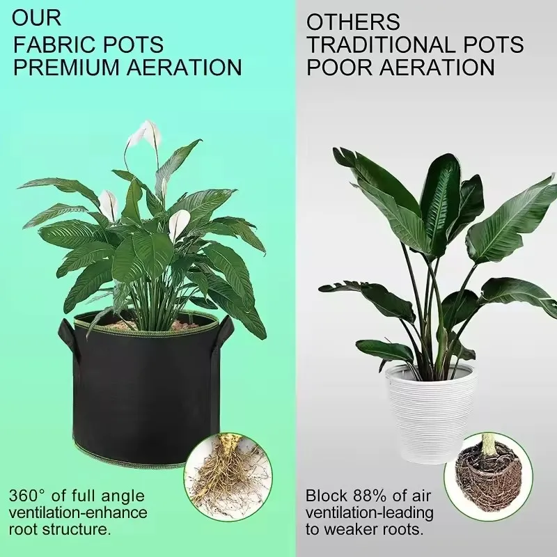 Thumbnail 3 - #24 New Plant Pots Arrivals