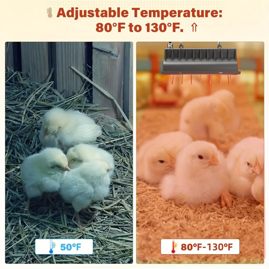 250W Chick Brood Heater Adjustable Heating Temperature Chicken Coop Heat Lamp Brooder Egg Incubator Pet Accessories