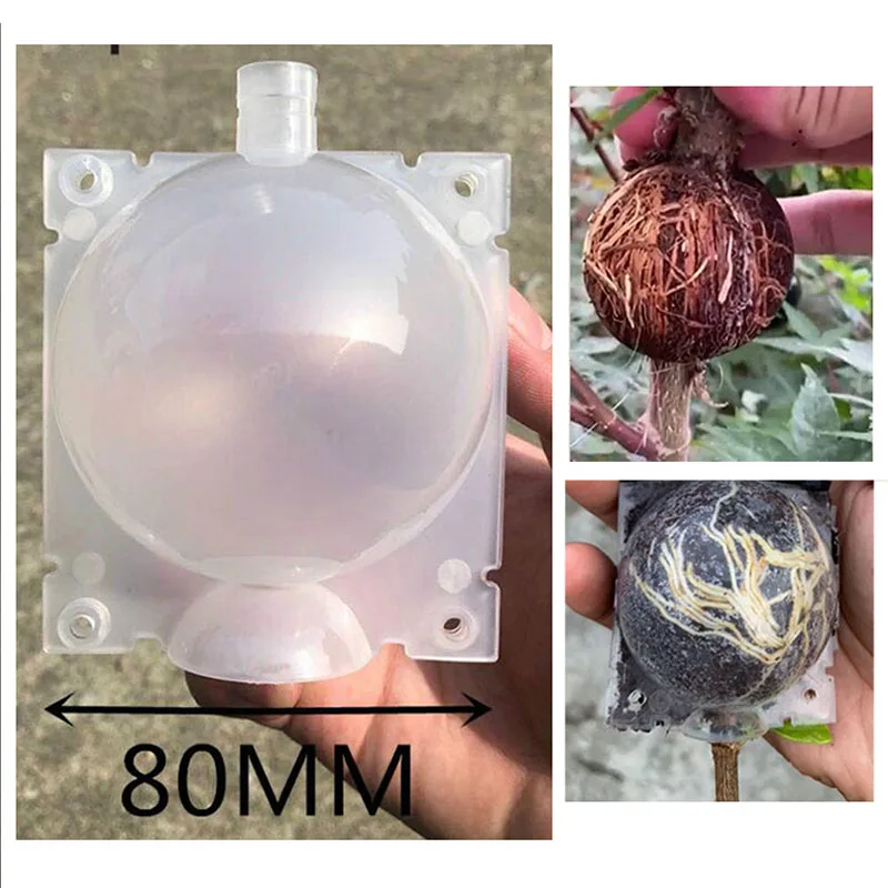 8cm Plant Rooting Grow Box Breeding Case 5pcs Rooting Box High Pressure Gardening Plant Root Device Ball for Garden Grafting