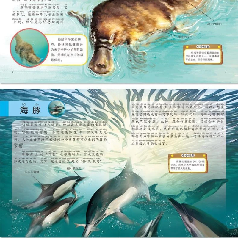 القراءة اللامنهجية: سلسلة تعميم علوم الأطفال موسوعة الحيوانات 10 كتب للأطفال