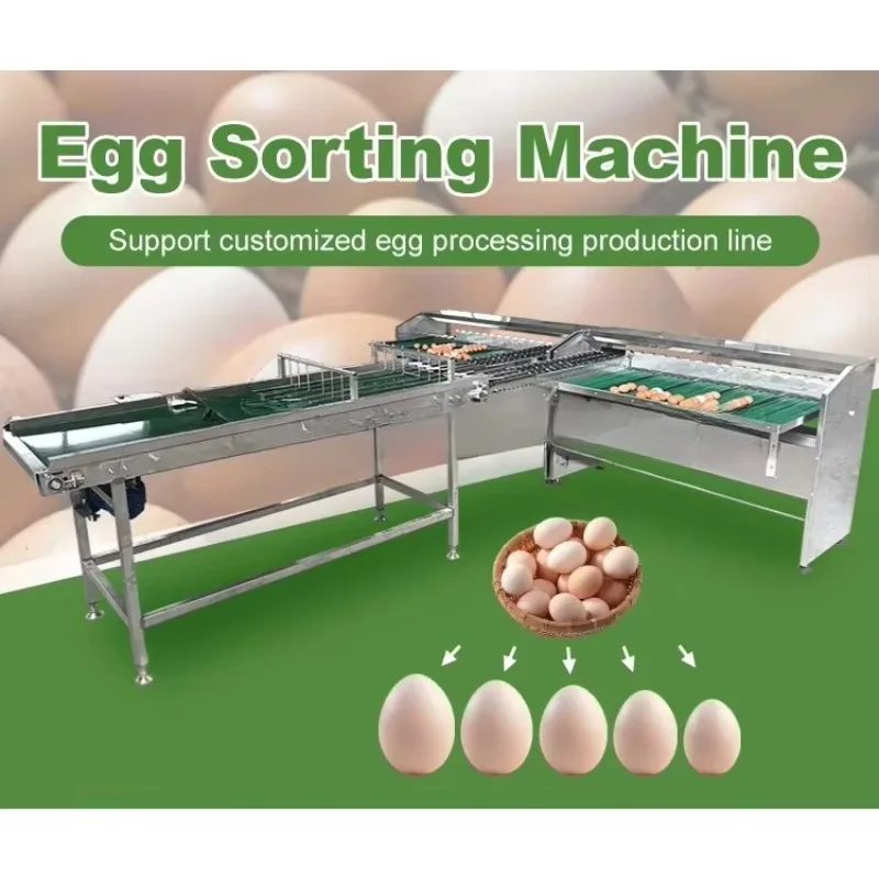 Egg Grader Egg Weighing Sorter