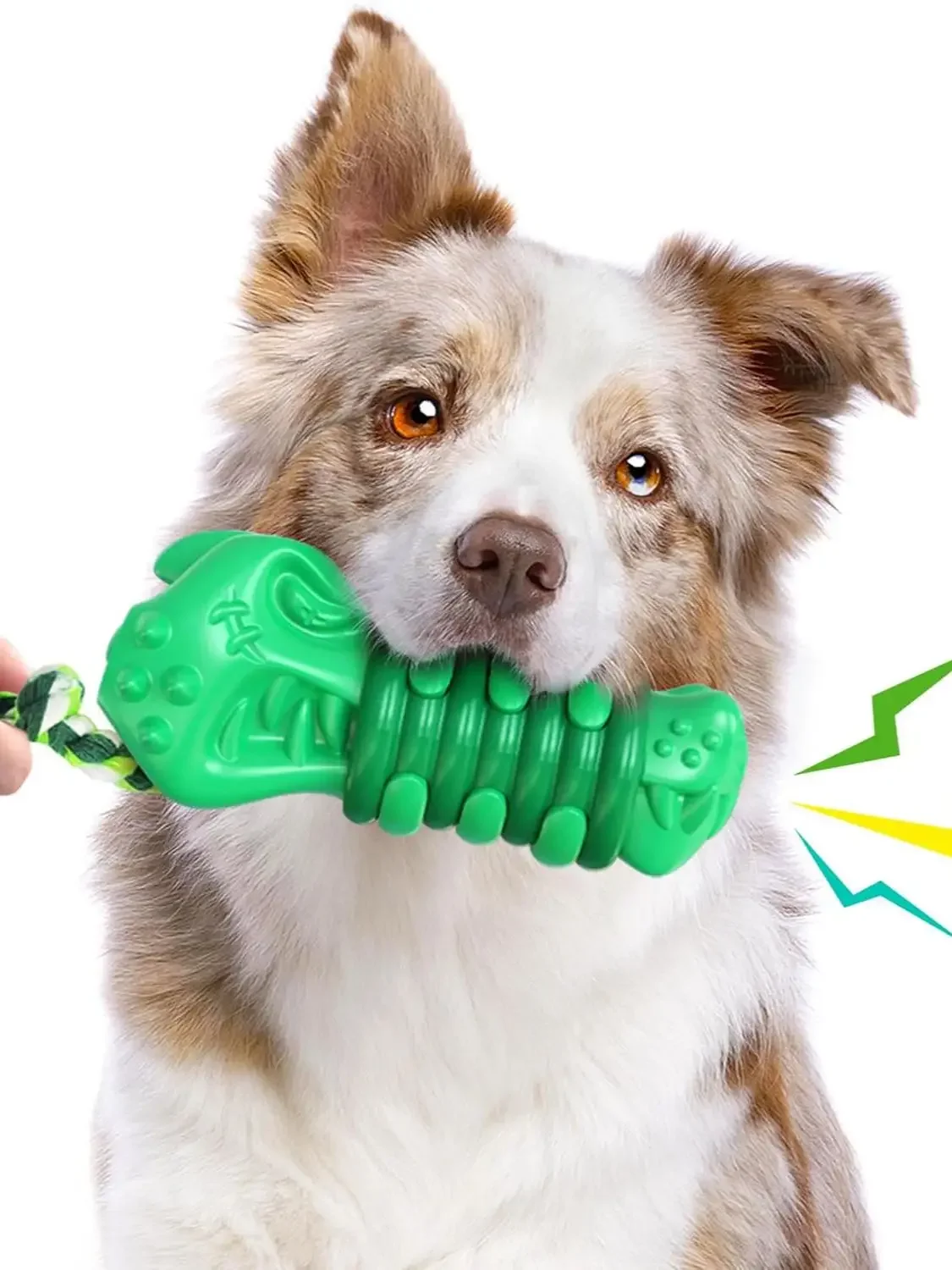 #25 Compare Squeaky Dog Toys Before You Buy