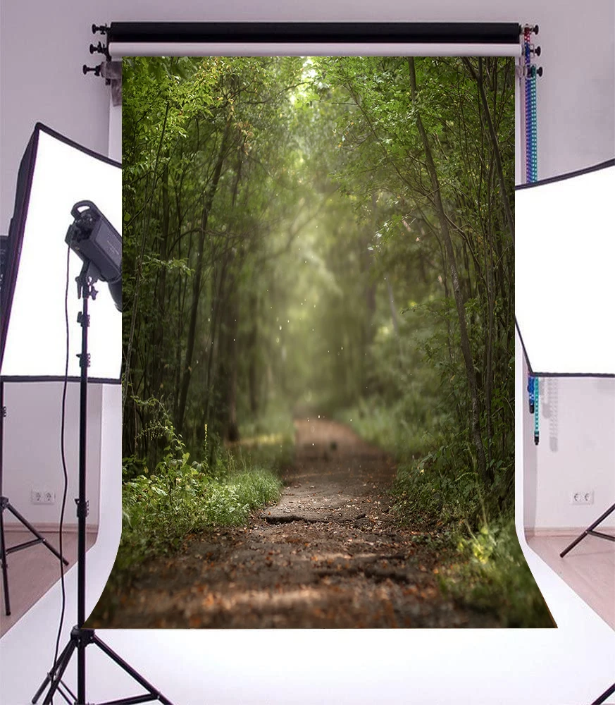 Enchanted Forest Path Road Between the Trees in Foggy Blurred Lens Natural Scenery Magic Background Photo Photography Backdrop