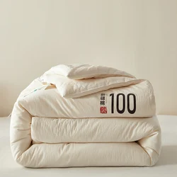 Xinjiang Cotton  Air Conditioning Cotton Quilt Spring and Autumn Seasons Cotton Quilt Core Winter Quilt