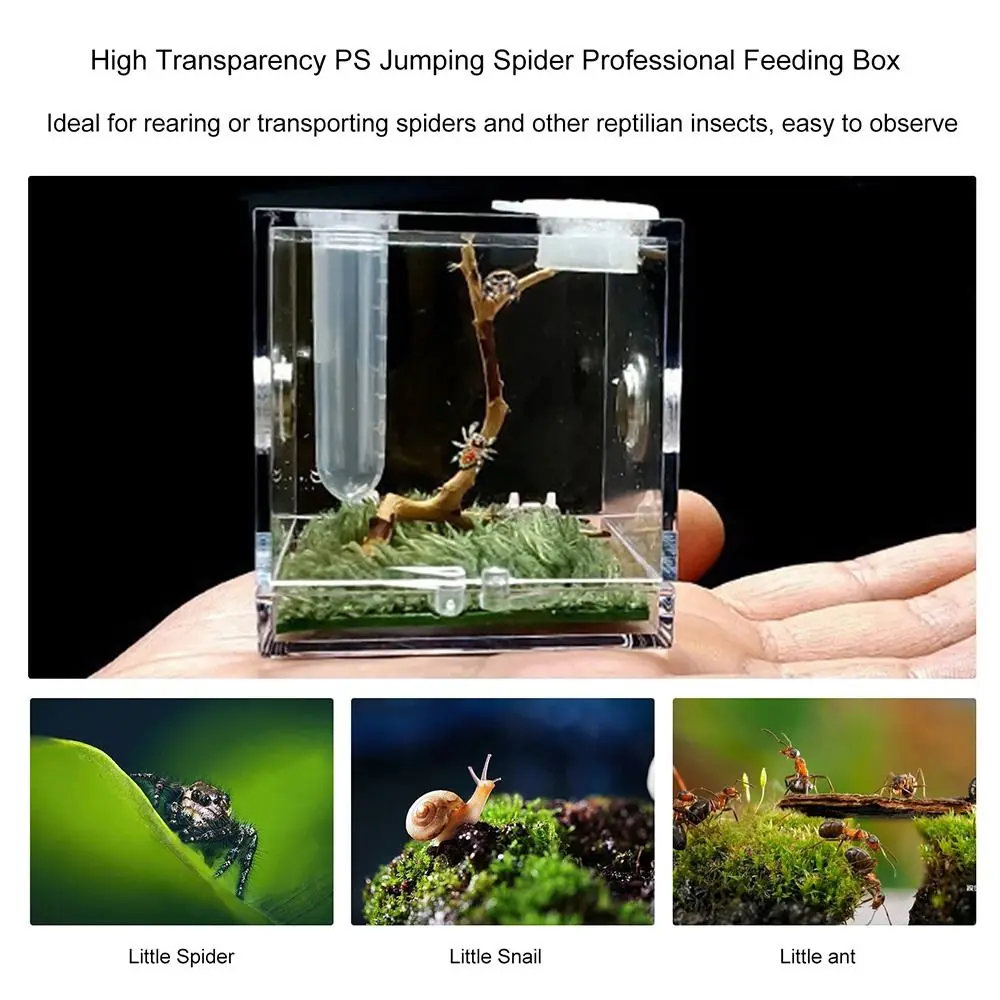 Plastic Transparent Jumping Spider Habitat Acrylic Breeding Box Cage for Spiders Small Insects