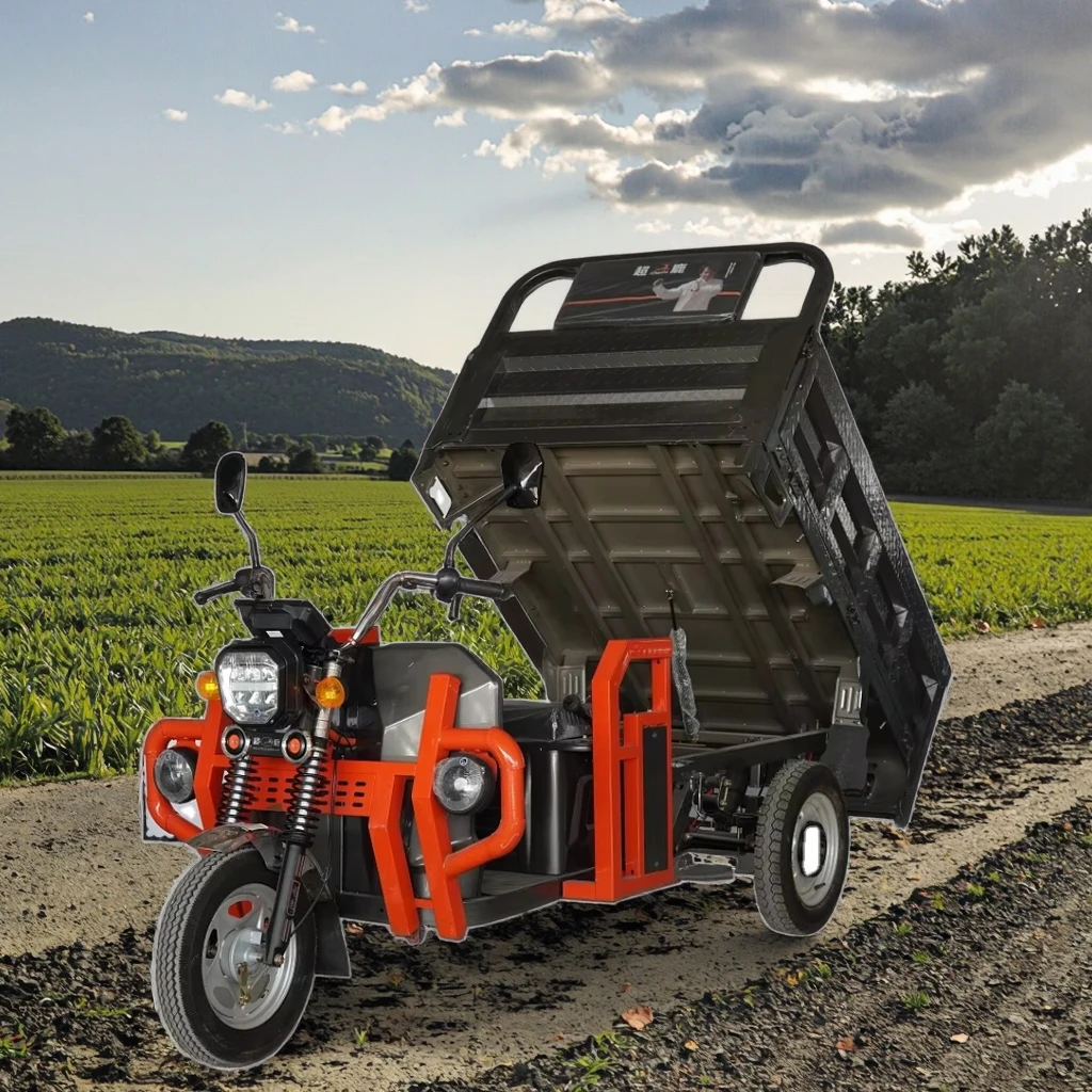 Factory Direct  3-Wheel Cargo Motor Electric Tricycles Open Body Three-Wheeled Freight Motorcycles for Farm working