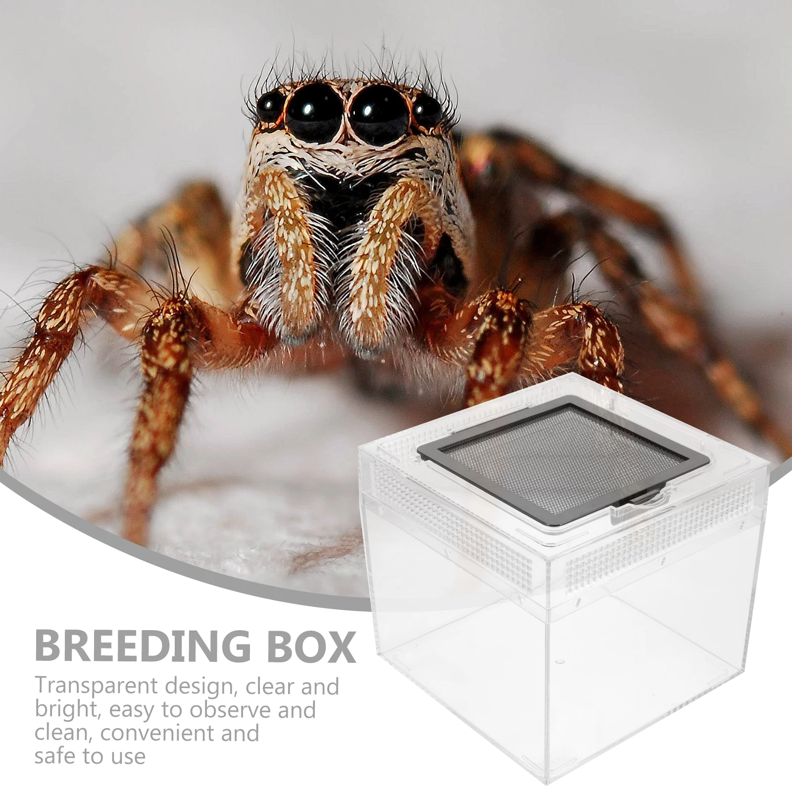 

Reptile Box High Transparent Breeding Terrarium for Lizards Spiders Snakes Small Pets Sliding Magnetic Seal Practical Incubator
