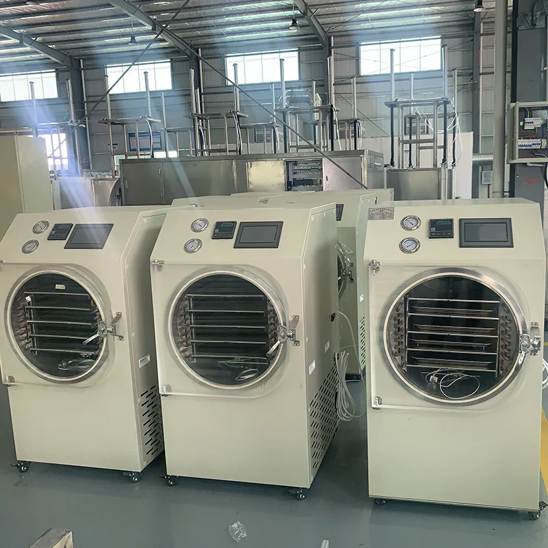 0.6 Square Vacuum Food Fruit And Vegetable Small Experimental Freeze Dryer