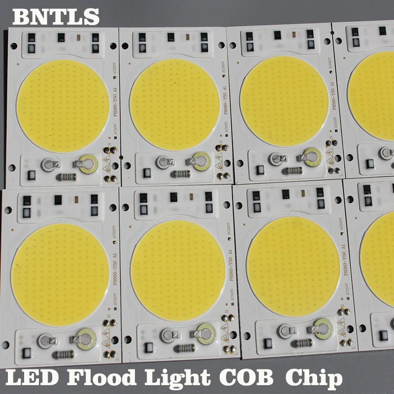 LED COB Chips 50W Power Cold White Warm Light Without Driver AC 110V 220V Floodlight