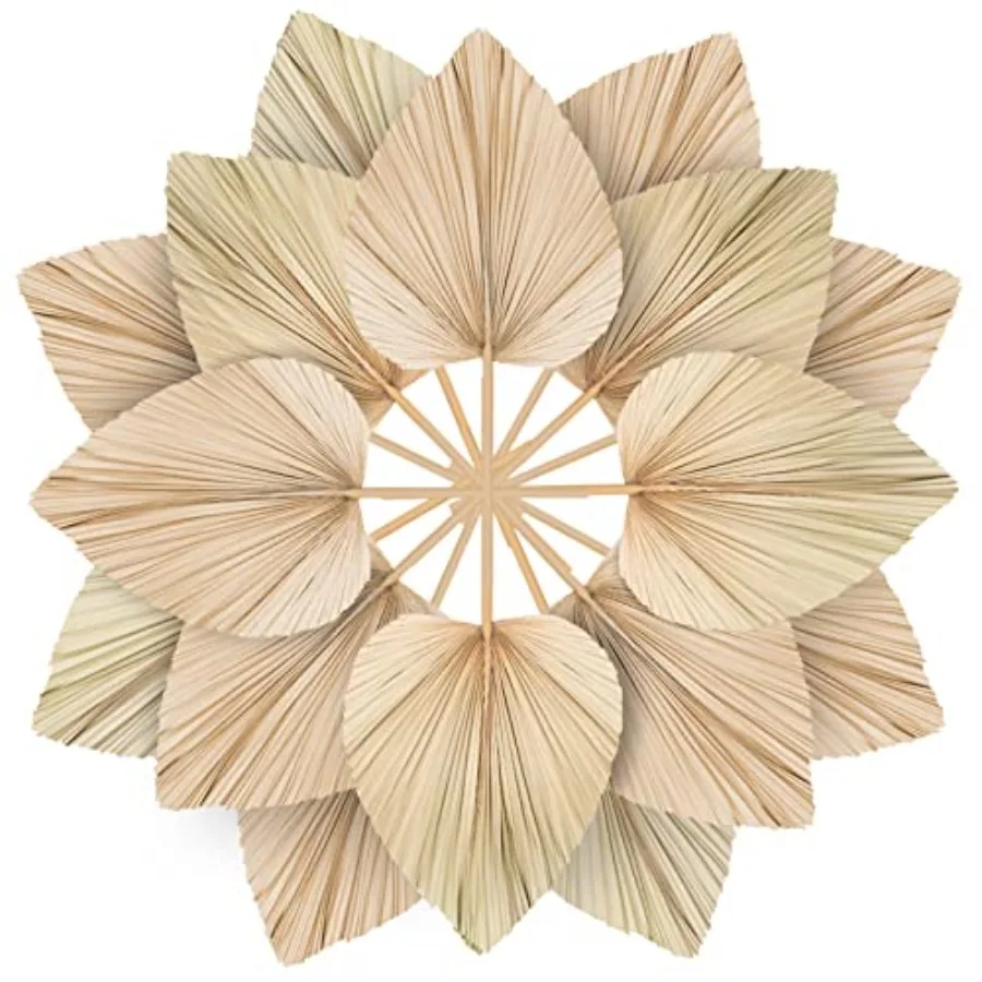 

10 больших натуральных тропических пальмовых листьев-вееров с стеблем для декора свадебных ваз