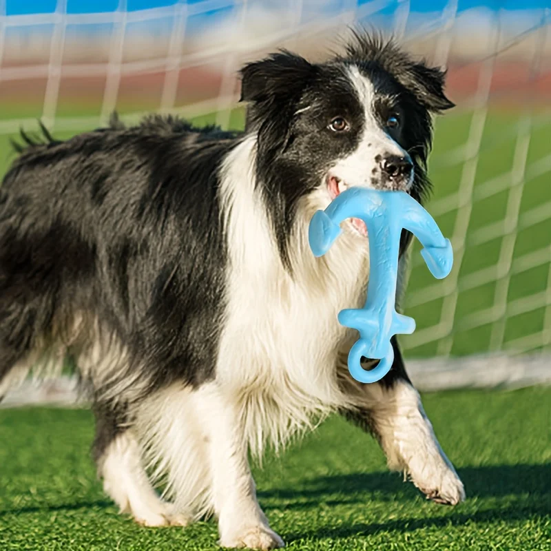 لعبة تفاعلية للكلاب الأليفة للكلاب الصغيرة والمتوسطة، لعبة جرو مقاومة للعض، ألعاب تنظيف أسنان الحيوانات الأليفة، مستلزمات الحيوانات الأليفة #5