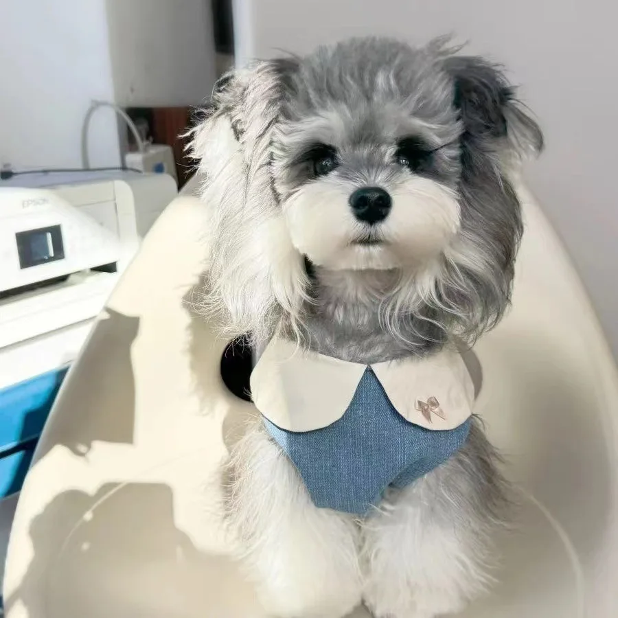 

lovely dog clothes Denim Flip Collar Embroidered Lace Skirt princess dog dress for Maltese Bichon Chihuahua Puppy