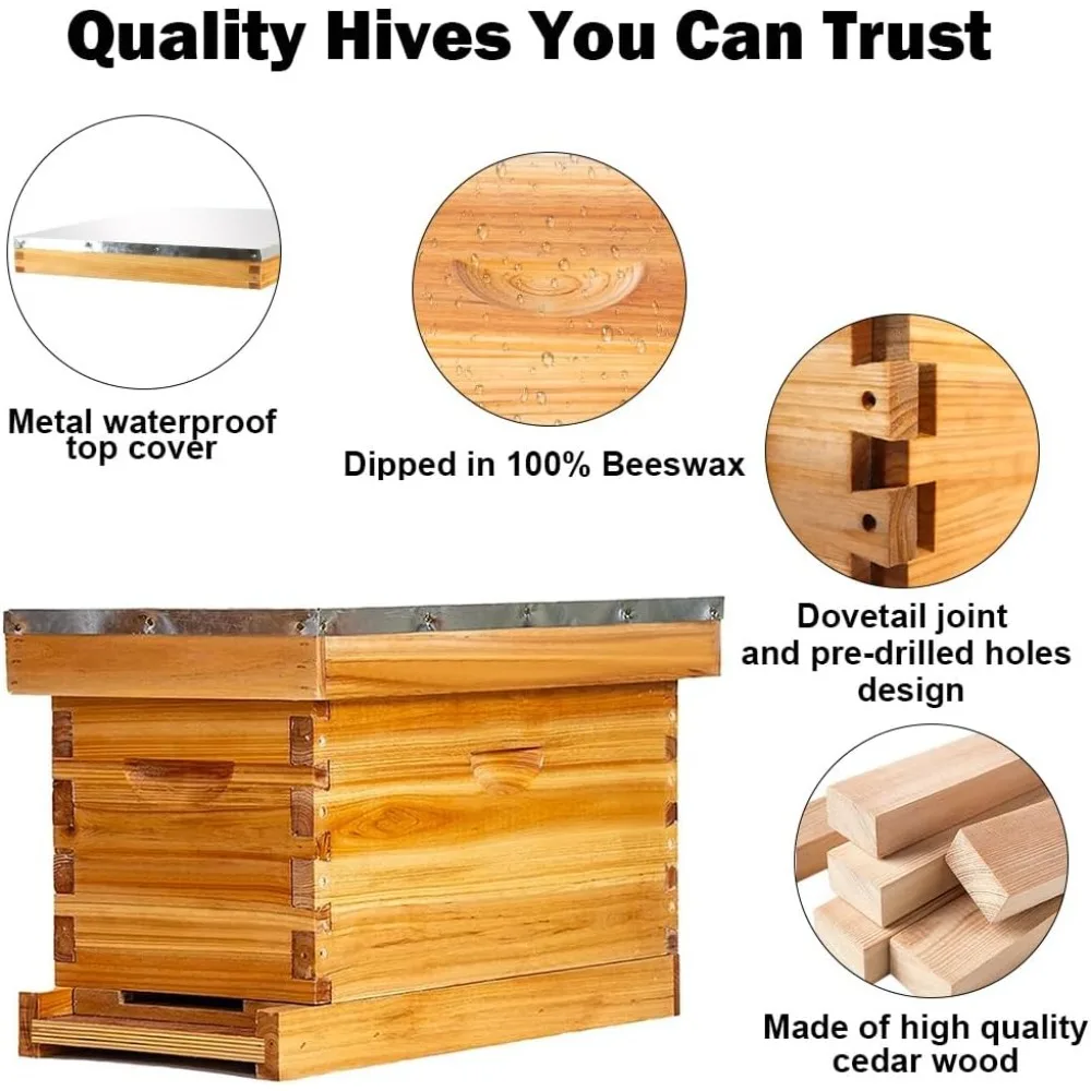 Nuc مجموعة خلية النحل الكاملة صندوق خلية النحل Langstroth مغموس في شمع العسل يشمل إطارات خلية النحل وأوراق الأساس المشمعة