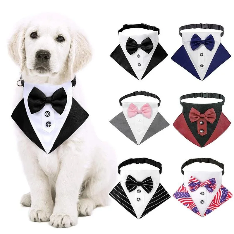 #6 Discounted Puppy Bandanas Worth Buying