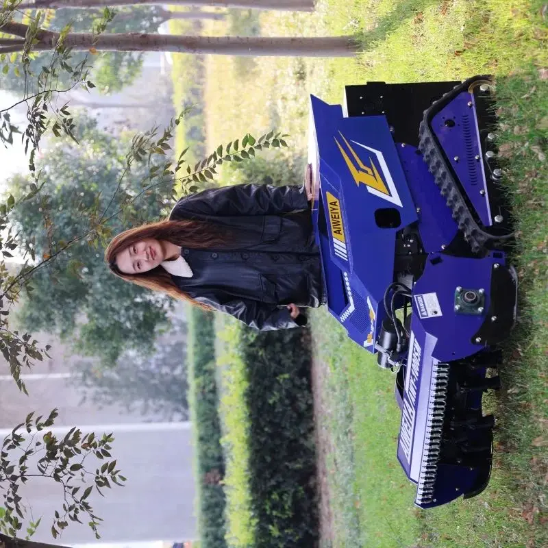 Customized Manufact… - image