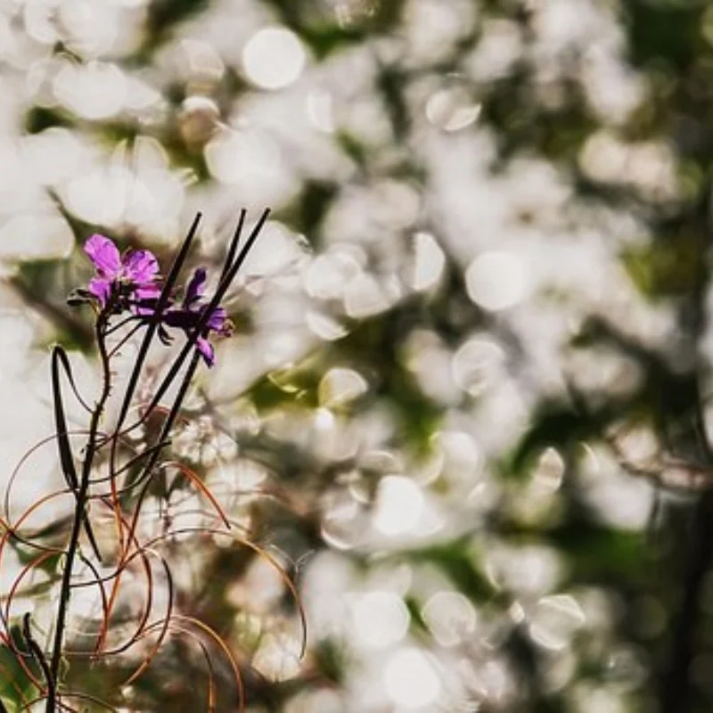 

4 шт. 42 мм пластиковое гоночное колесо 51362 для радиоуправляемого автомобиля TAMIAY M03 M04 M05 MB01 MF01 XM01 SW01 T301 1/14 MJX 14303 14304
