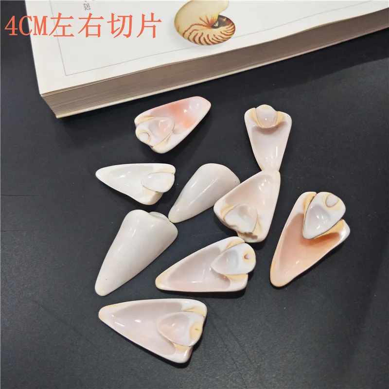 Natural Conch Shell Slices, DIY Jewelry Components & Aquarium Decorations, Sold by Kilogram