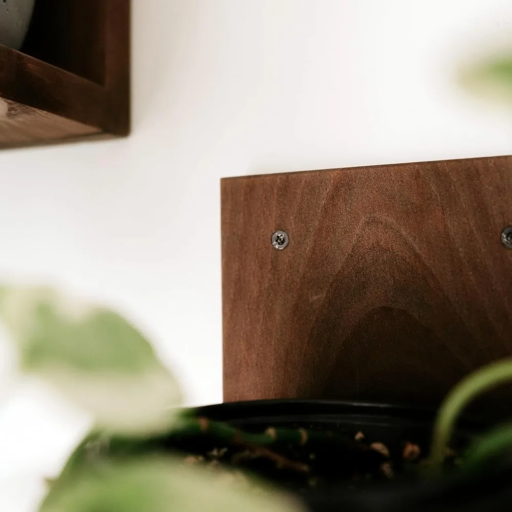 شاشة حائط نباتية داخلية مع حواف خشبية حديثة في منتصف القرن |   نظام أرفف نباتية مثبت على الحائط على شكل حرف L #6