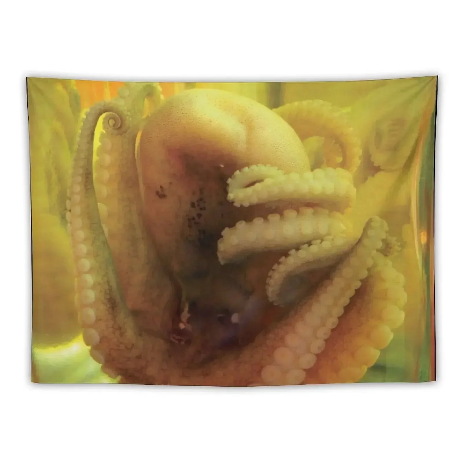 

pickled octopus Tapestry Bedroom Organization And Decoration Hanging Wall Room Aesthetic Tapestry