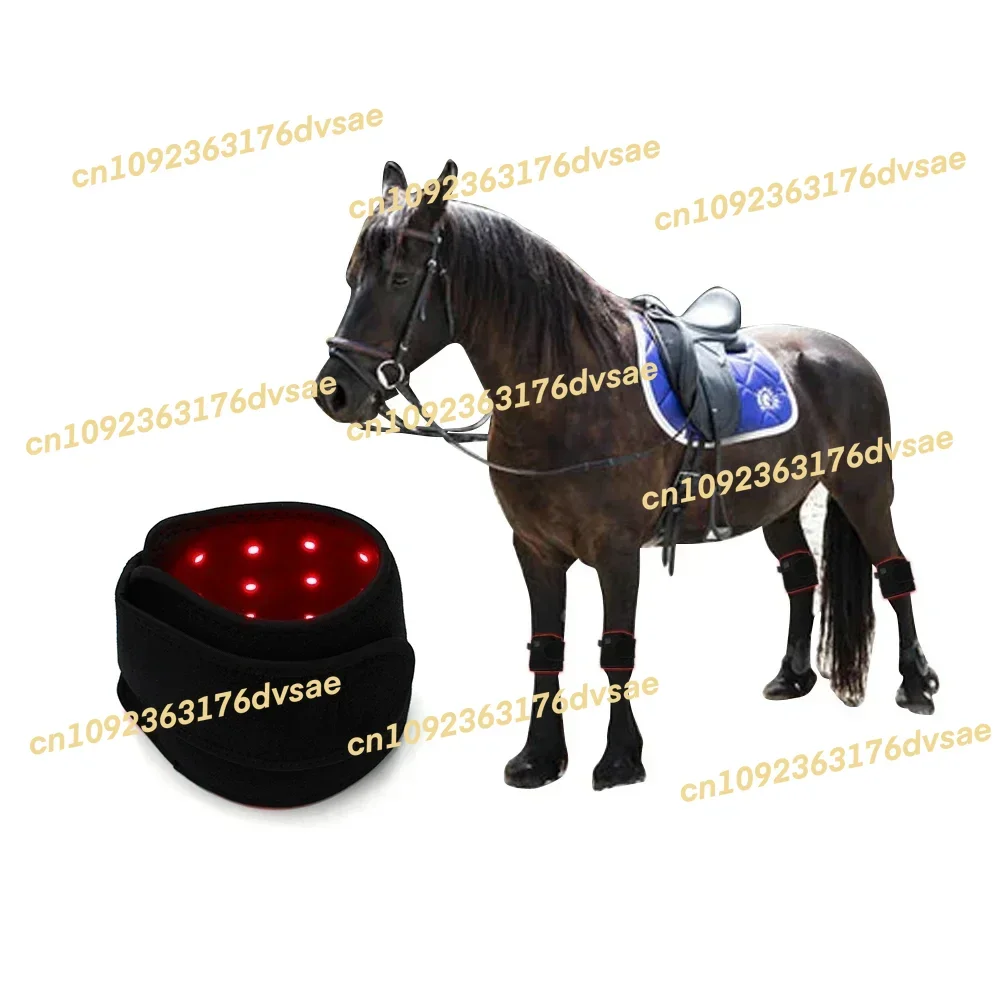 

In Stock New Coming Portable 660nm 850nm Horse Red Light Therapy Machine LED Red Light Infrared Therapy Knee For Horse