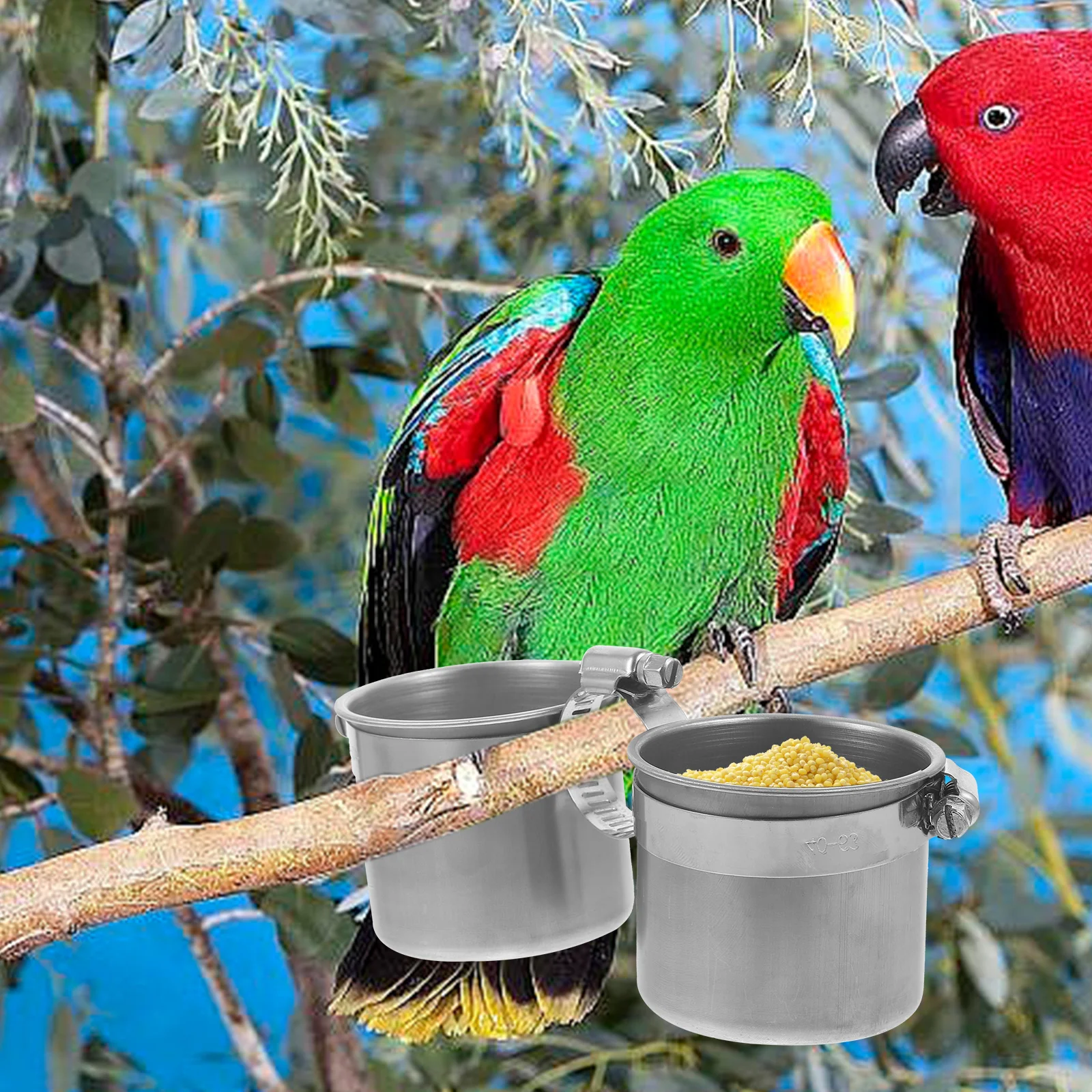 

Stainless Steel Parrot Feeder Dual Cup Large Capacity St Pole Pet Supplies Container Bird Feeding Accessories
