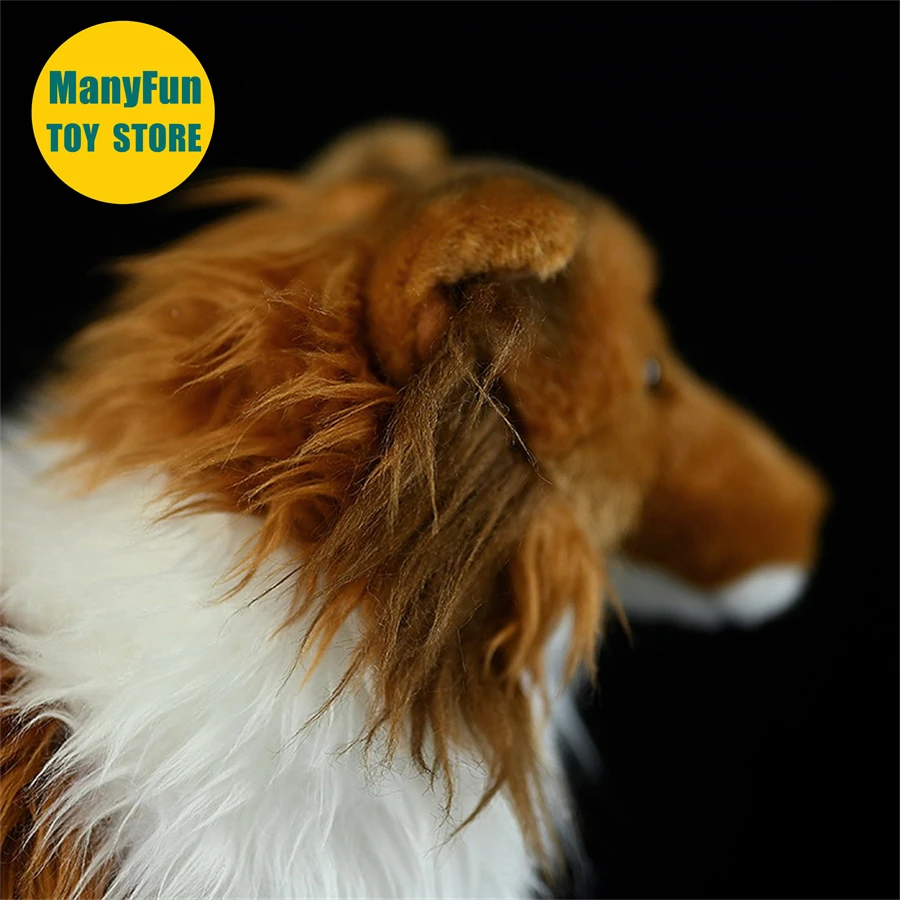 Realistische Sheltie Hond High Fidelity Shetland Herdershond Plushie Ruwe Collie Knuffels Levensechte Dieren Simulatie Knuffels