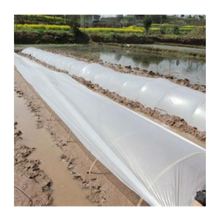 

2025Flexible Black & Clear Plastic Mulch Film Cover Custom Cutting Service for Strawberry & Tomato Plants