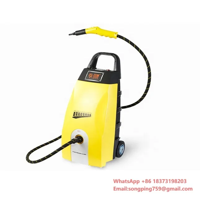 Low Price Commerical High Pressure 5Bar Portable Steam Car Washer for Car Interior Cleaning
