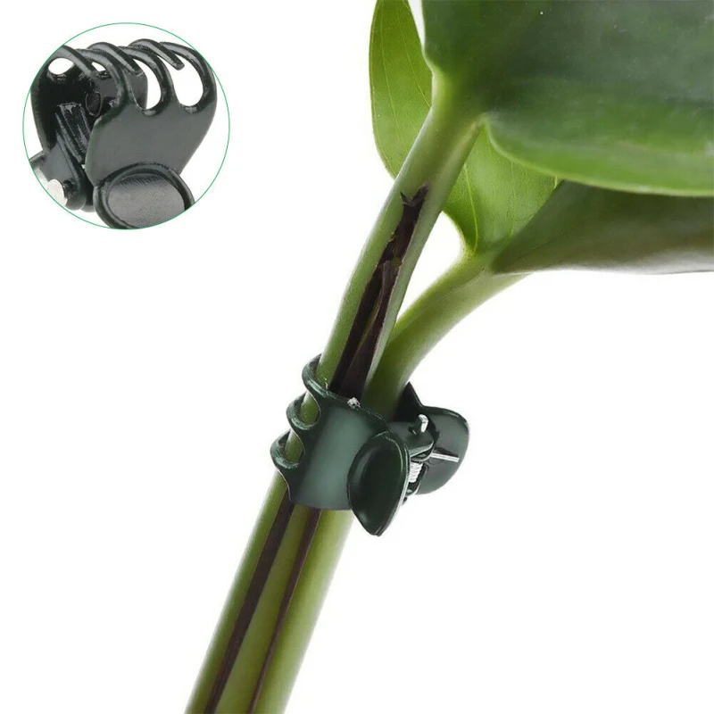 

100 pcs Grafting clip garden clip butterfly orchid special clip plant clip vine clip tied vine clip fruit and vegetable