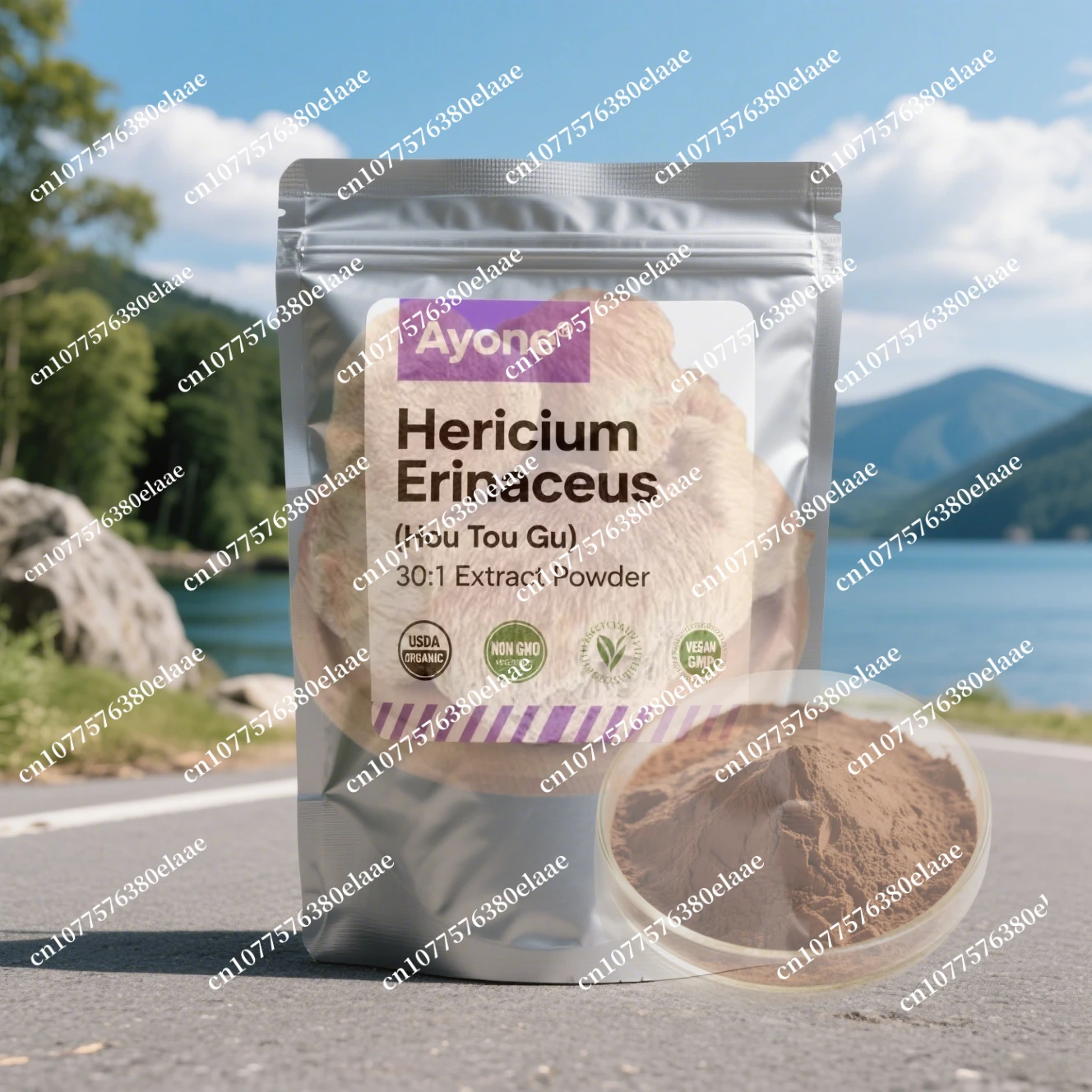 Global Customized Proportion Packaging Lions Mane Mushroom Extract Powder Bulk Hericium Erinaceus Out Packing Aluminiumfolienbeutel