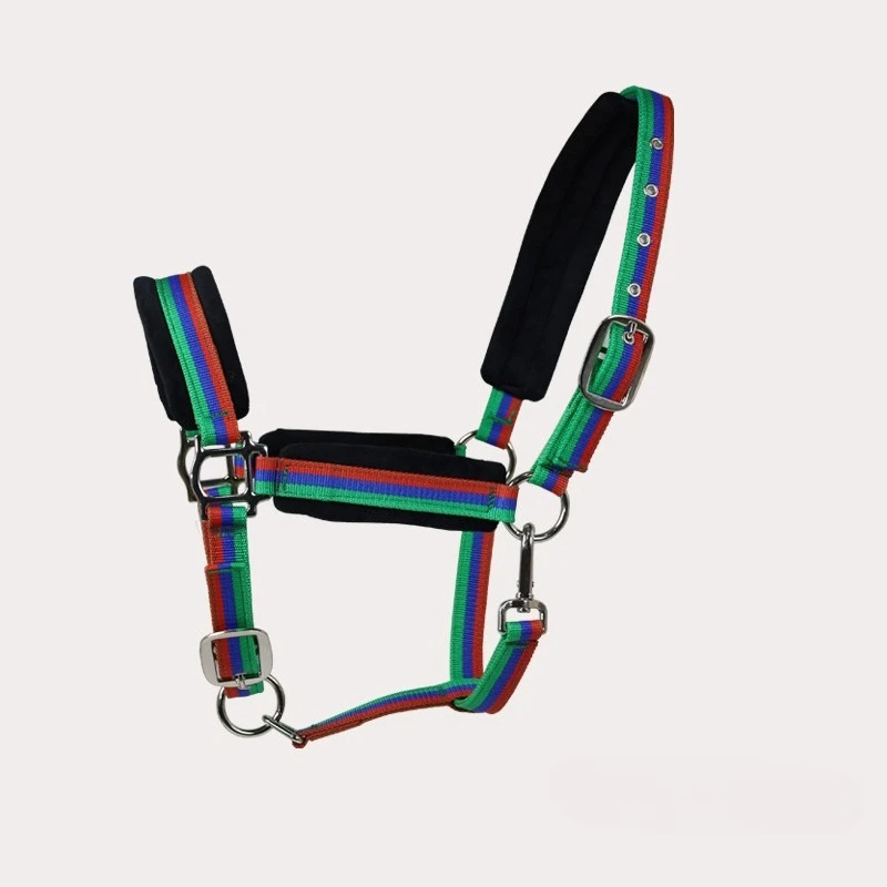 L/M Size Waterproof  Red + Blue + Green Bridle & Reins with Stainless Steel Hardware Equestrian Tack