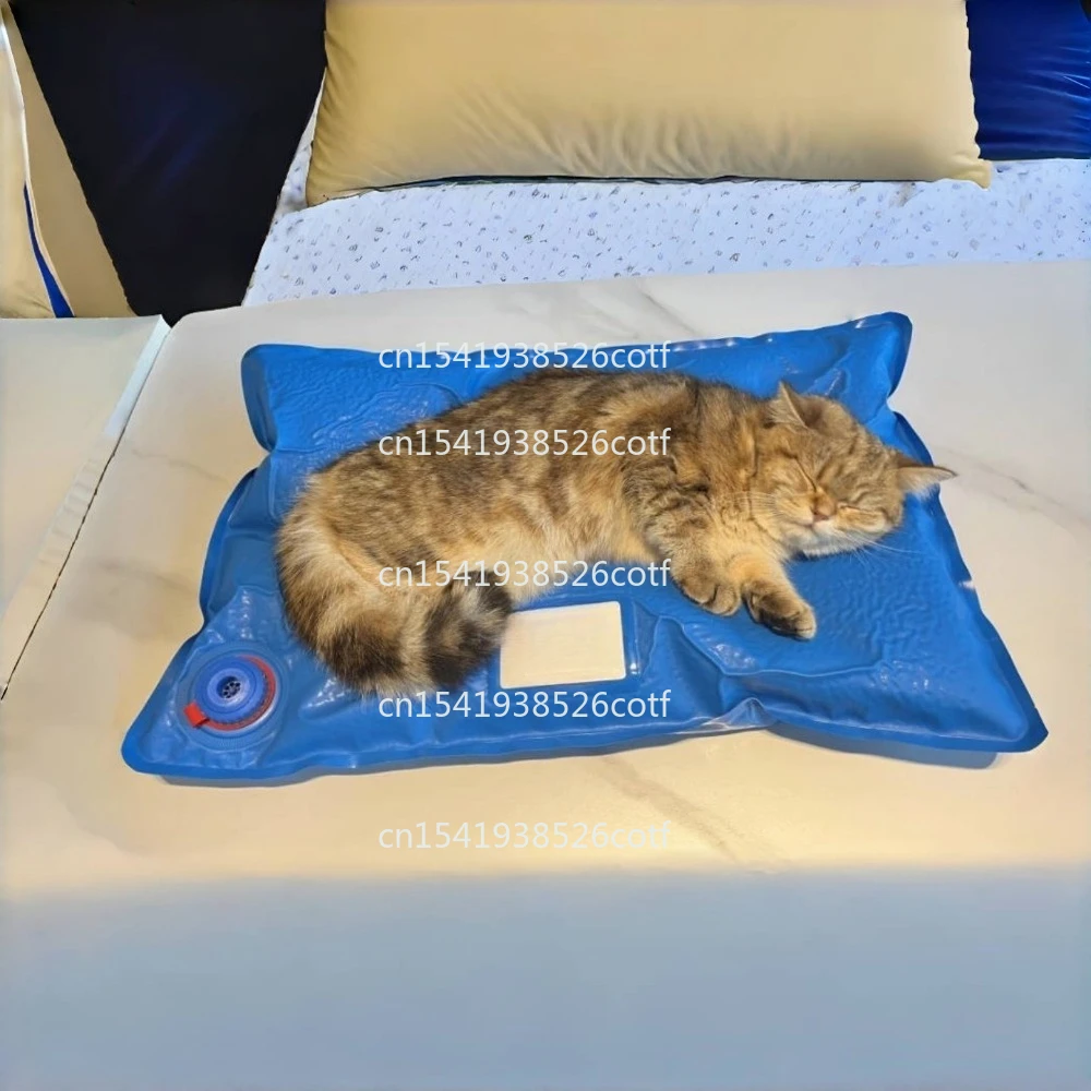 Positioning Plastic Negative Pressure Vacuum Pad Vacuum Fixing Mat Pet Animal Film Positioning
