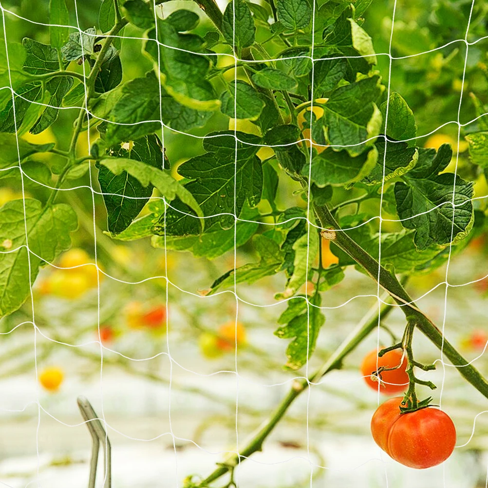 

2Pcs Garden Climbing Net Trellis for Plants Outdoor Durable Polyester Mesh and Install for Orchard Support