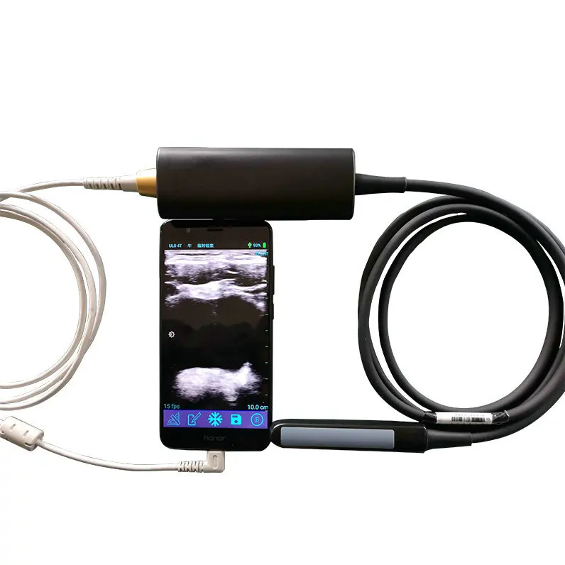 USB Rectal horse cattle cow bovine equine  test veterinary portable ultrasound