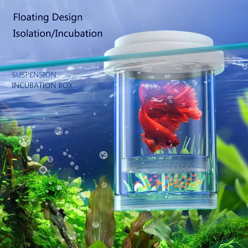 Plastic Floating Fish Breeding Isolation Box Aquarium Breeder Feeder Fish Tank Hatching Incubator Aquarium Hatchery Accessoies
