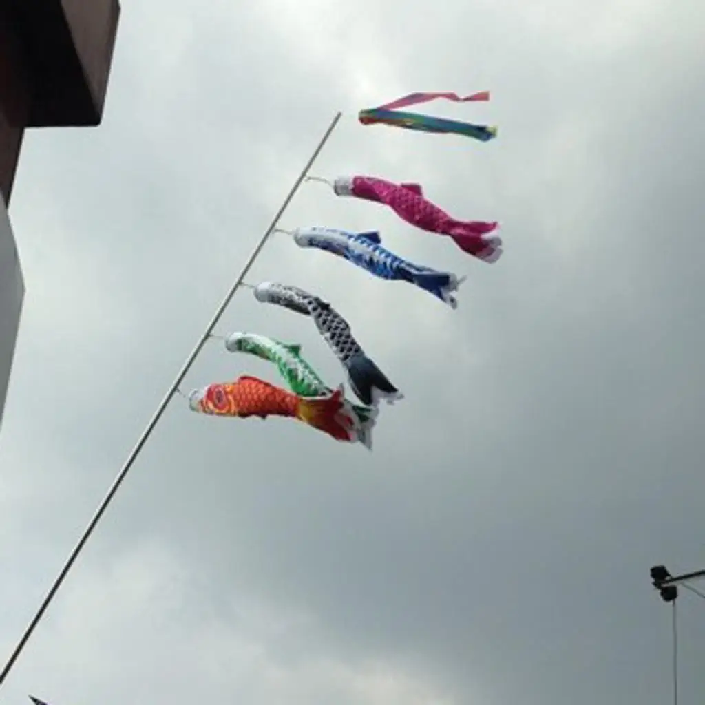 19.7inch Rainbow Windsock Carp Flag Wind Streamer Japanese Satin Hanging Kite Decor