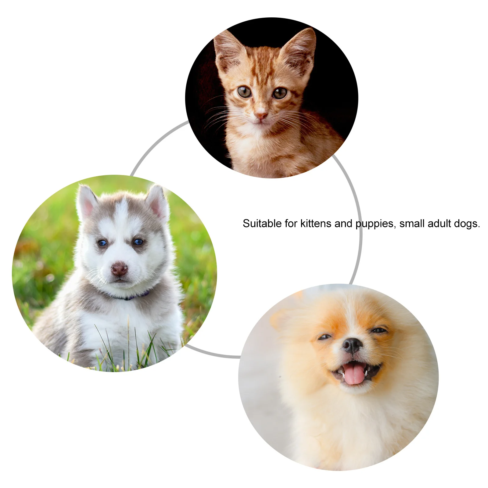 

Pet Rain Shoes M Black Candy Colors PVC Material Flexible Waterproof Anti-Slip Protect Feet Wet Places Easy Wear Comfortable